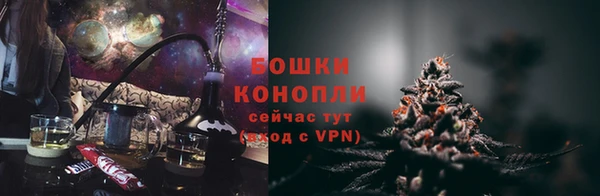 ECSTASY Алзамай
