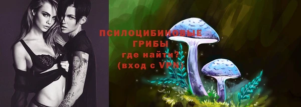 ECSTASY Алзамай