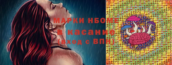 прущие крисы Абаза