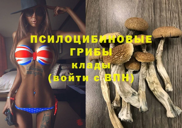 прущие крисы Абаза