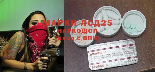 ECSTASY Алзамай