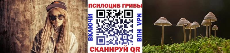 Псилоцибиновые грибы Magic Shrooms  OMG ТОР  Чкаловск 